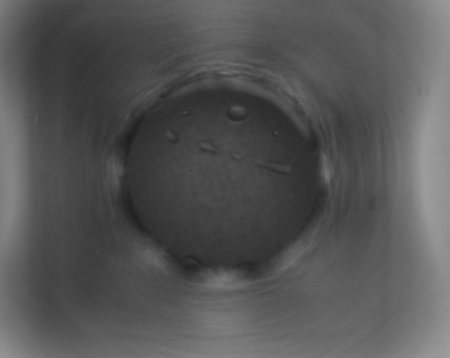 X0000110770235200906291054