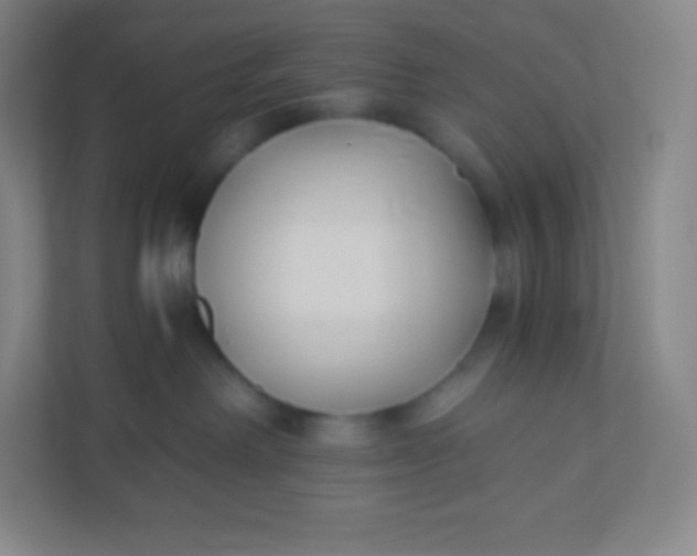 X0000110770238200906291054