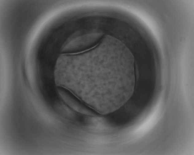 X0000110770239200906291054