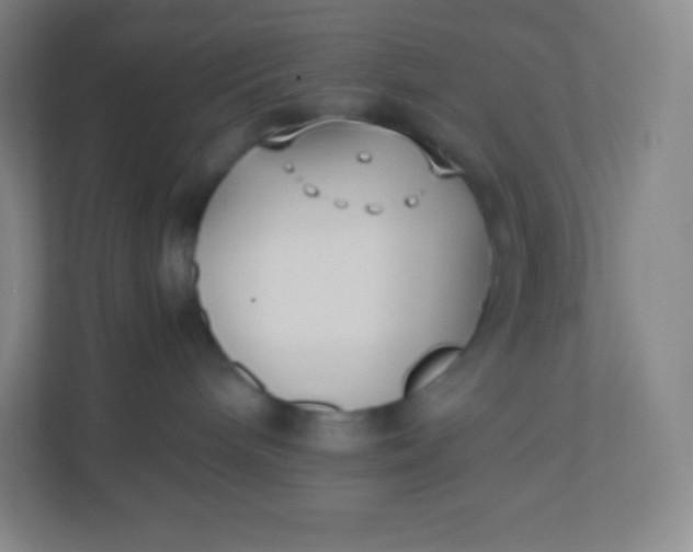 X0000110770240200906291054