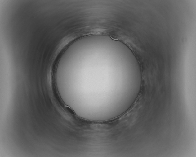 X0000110770242200906291054