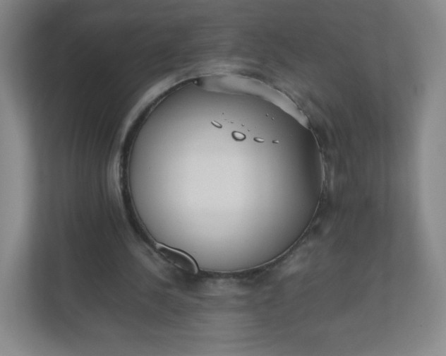 X0000110770244200906291054