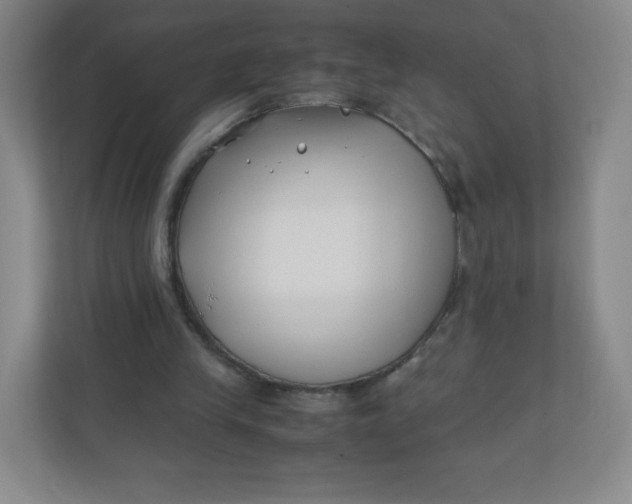 X0000110770245200906291054