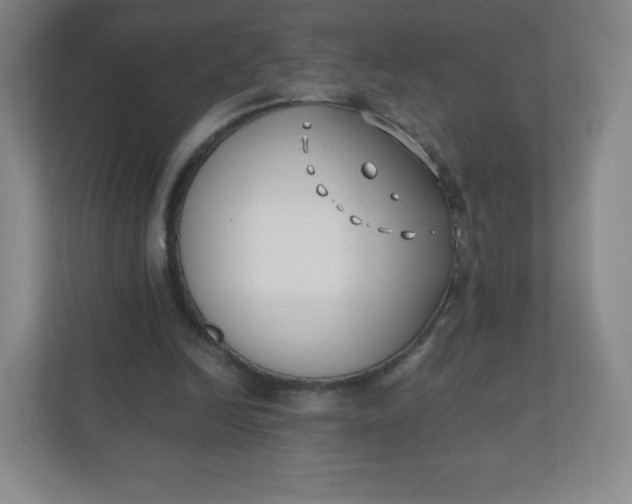 X0000110770246200906291054