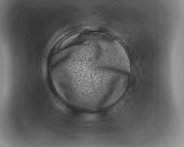 X0000110770247200906291054