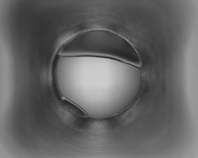 X0000110770248200906291054