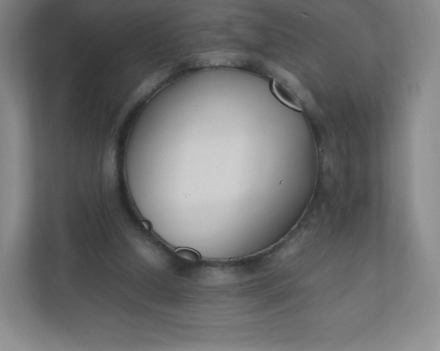 X0000110770250200906291054