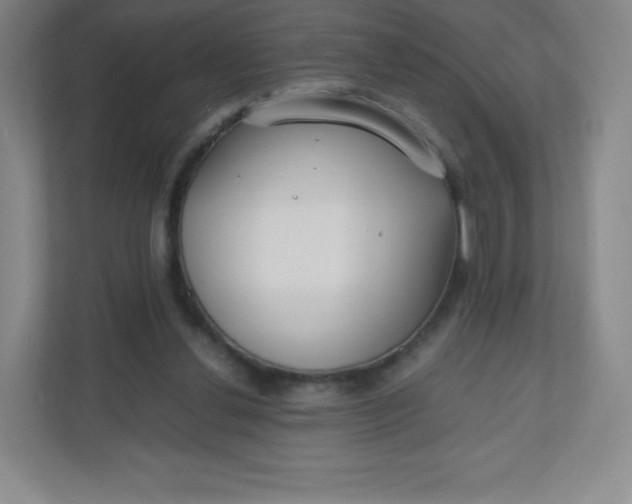 X0000110770252200906291054