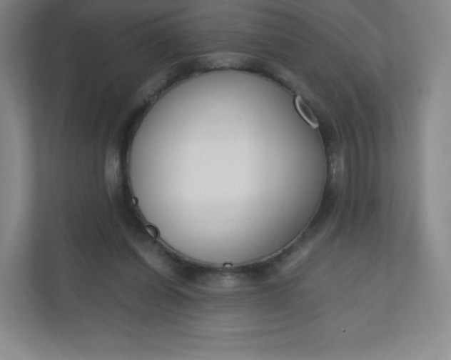 X0000110770254200906291054