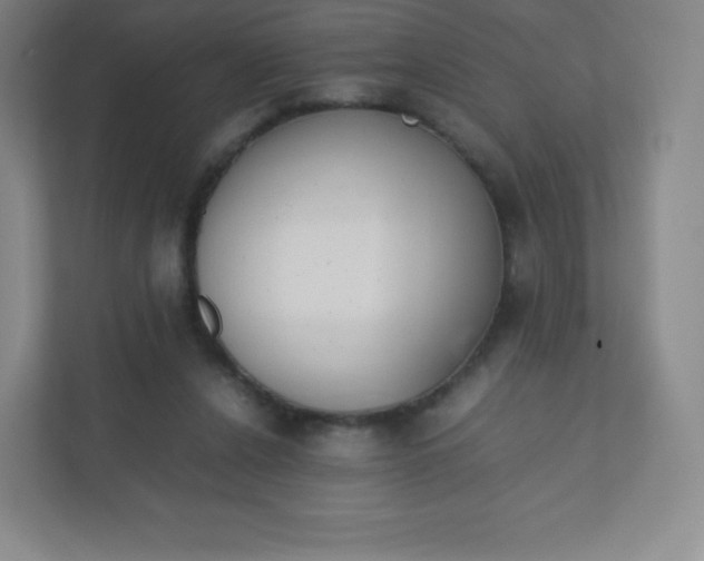 X0000110770256200906291054