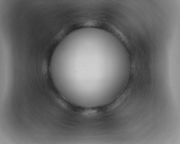 X0000110770257200906291054