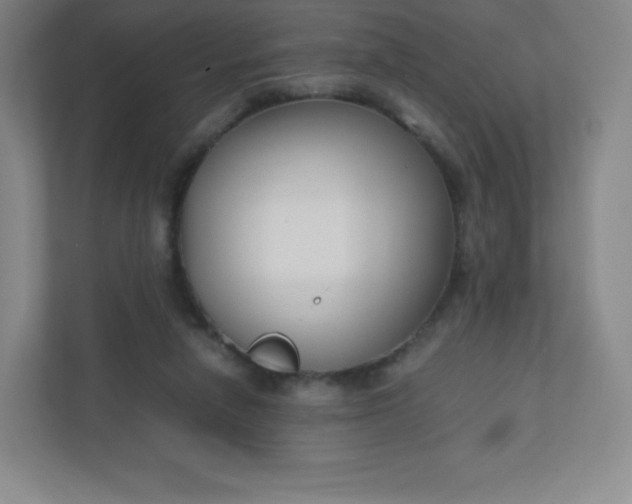 X0000110770258200906291054