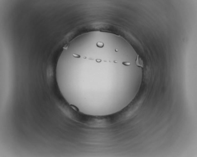 X0000110770260200906291054