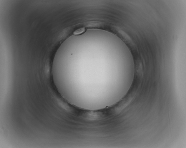 X0000110770261200906291054