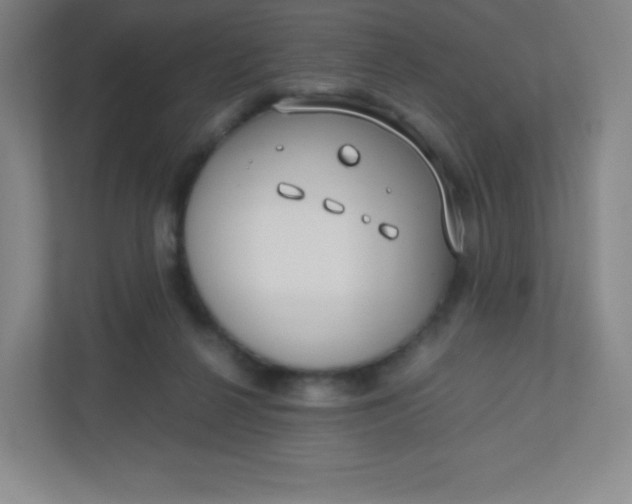 X0000110770264200906291054