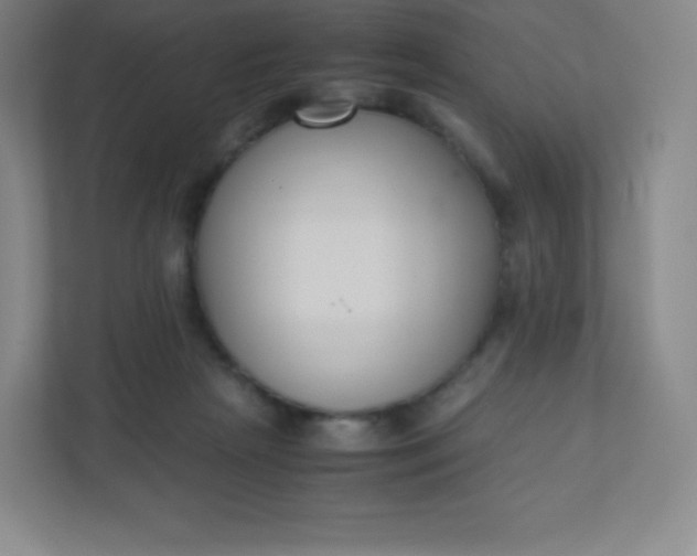 X0000110770265200906291054