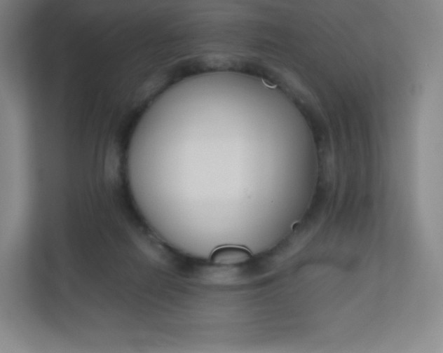 X0000110770266200906291054