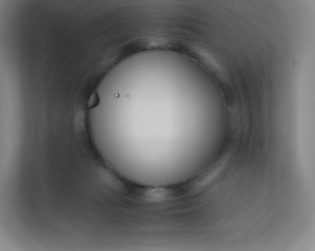 X0000110770269200906291054