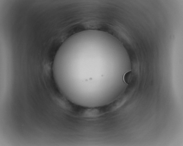 X0000110770271200906291054