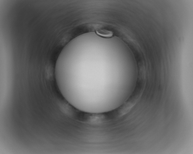 X0000110770274200906291054