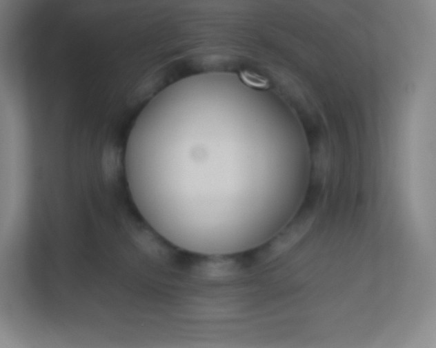 X0000110770278200906291054