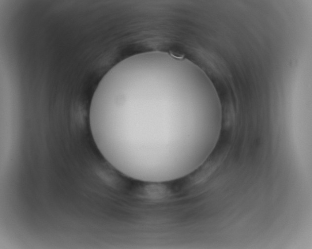 X0000110770279200906291054