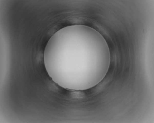 X0000110770281200906291054