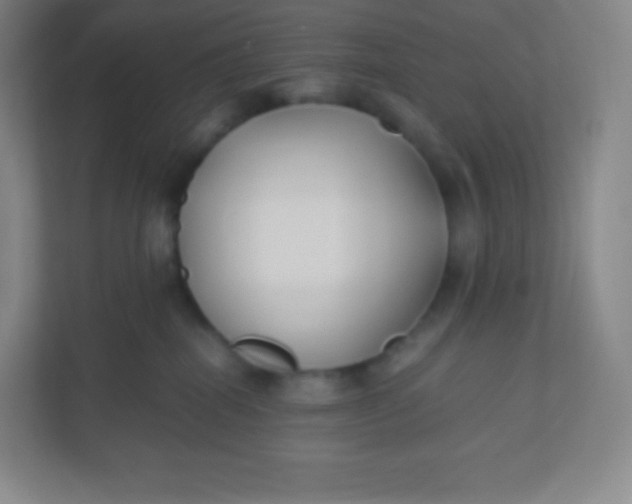 X0000110770282200906291054