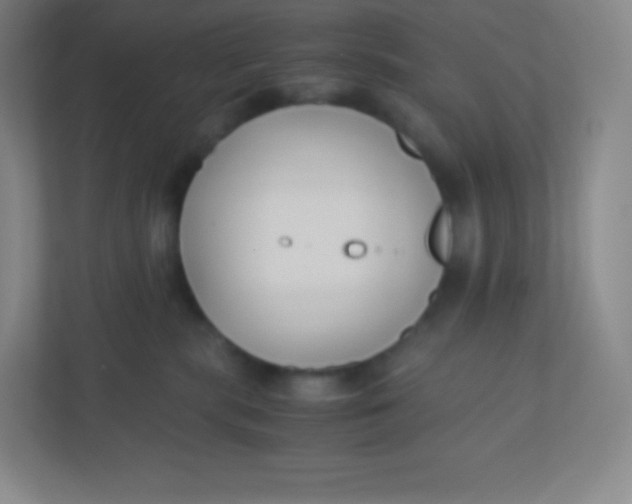 X0000110770283200906291054