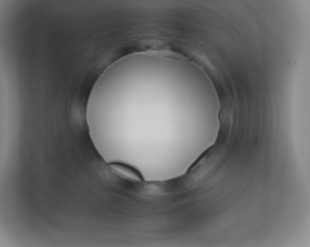 X0000110770285200906291054