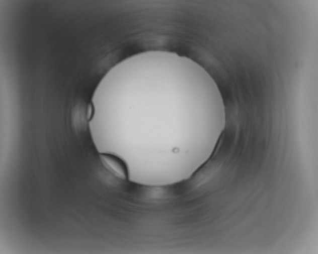 X0000110770287200906291054