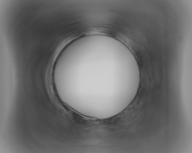 X0000110770289200906291054