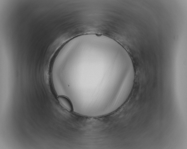 X0000110770290200906291054