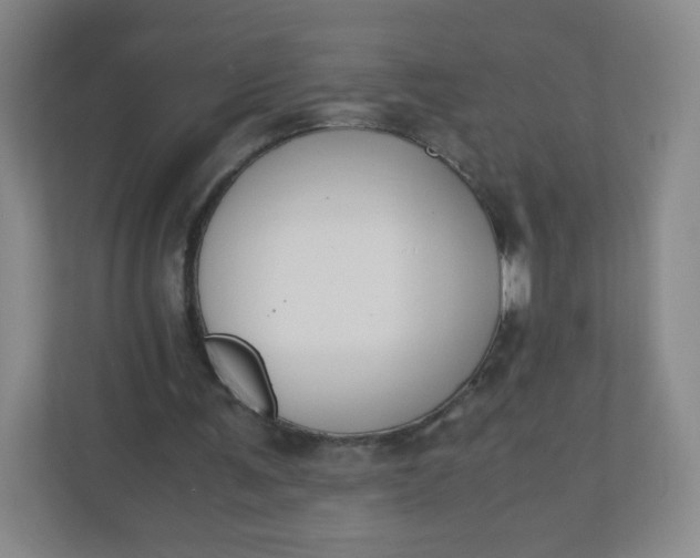 X0000110770291200906291054