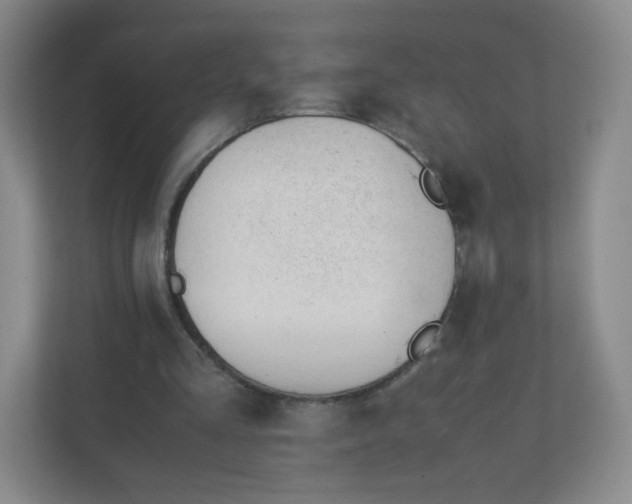 X0000110770293200906291054