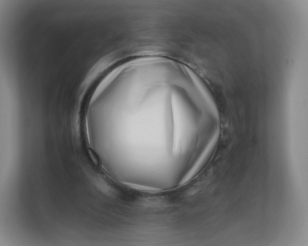 X0000110770296200906291054