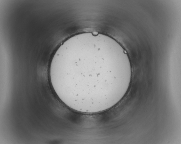 X0000110770297200906291054