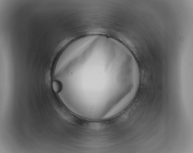 X0000110770298200906291053