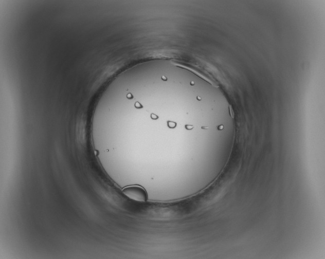 X0000110770299200906291053