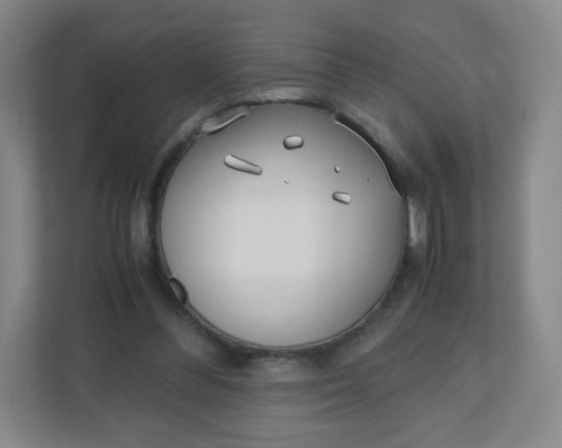 X0000110770300200906291053