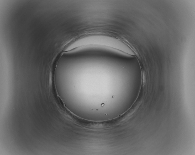 X0000110770301200906291053