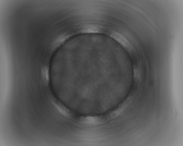 X0000110770302200906291053