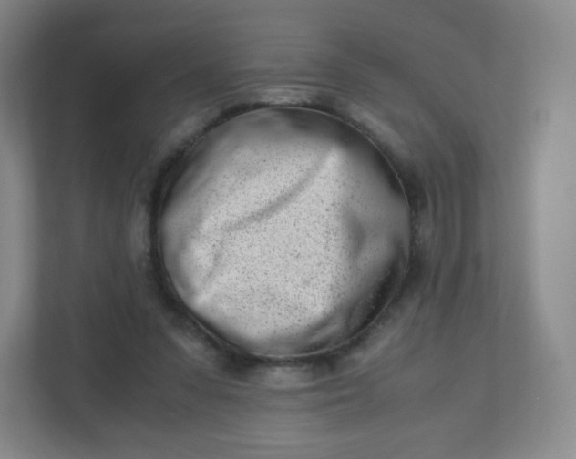 X0000110770303200906291053