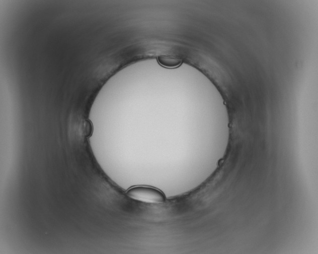 X0000110770305200906291053