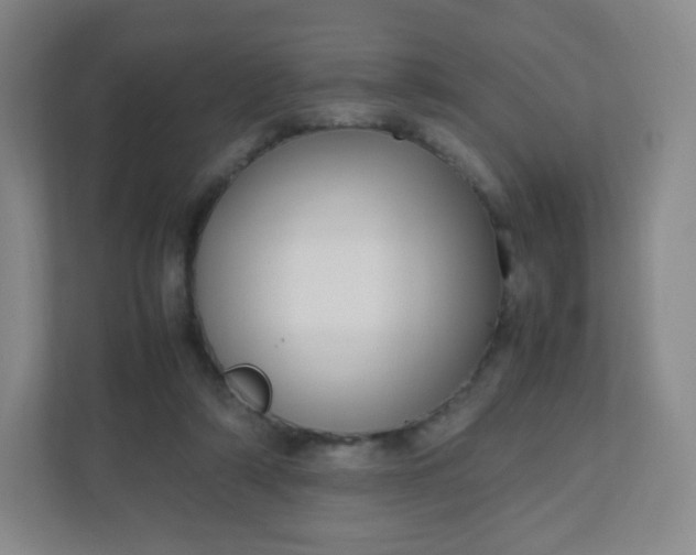 X0000110770306200906291053