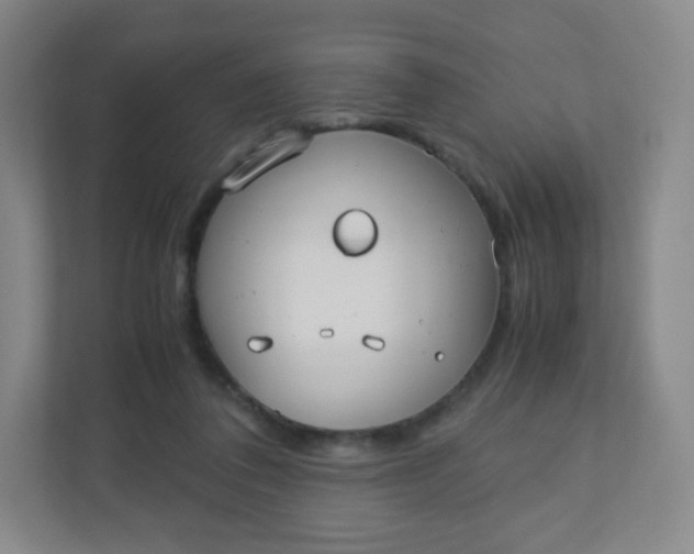 X0000110770308200906291053