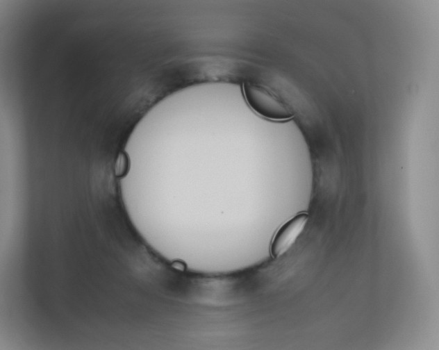 X0000110770313200906291053