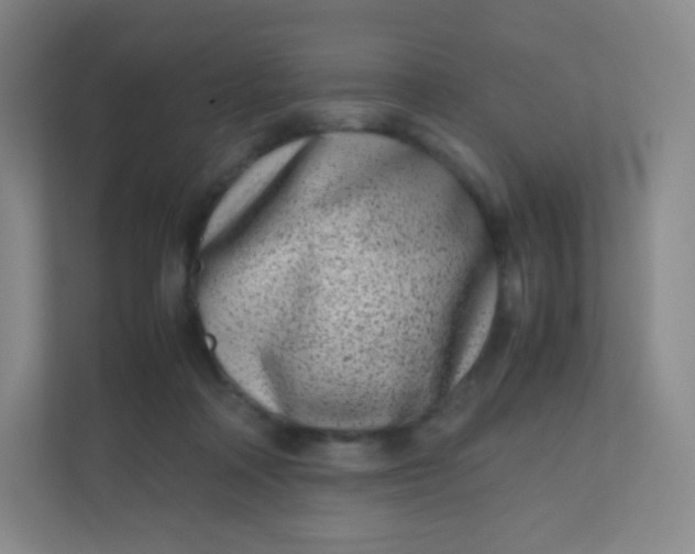 X0000110770314200906291053