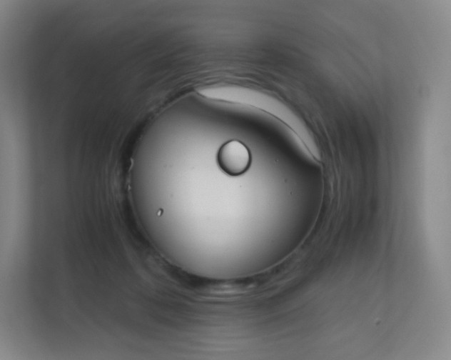 X0000110770316200906291053