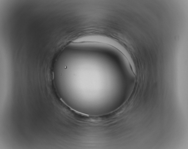 X0000110770317200906291053